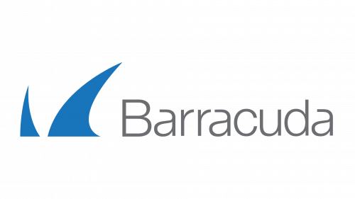 Barracuda